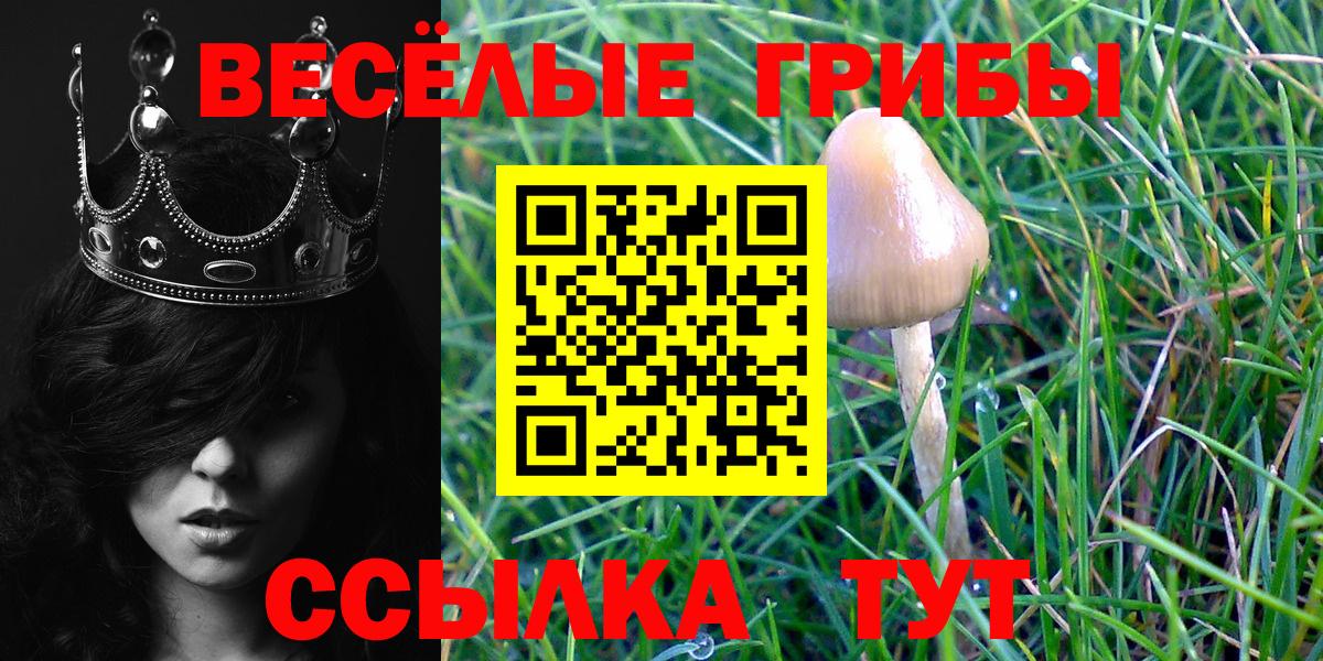 Псилоцибиновые грибы Cubensis  Вход с VPN  Кострома 