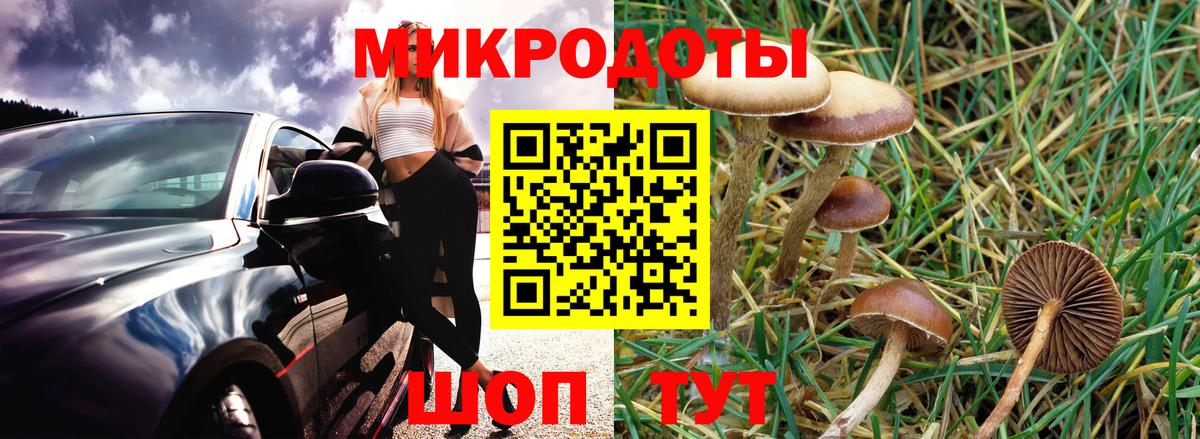 Галлюциногенные грибы мухоморы Кострома