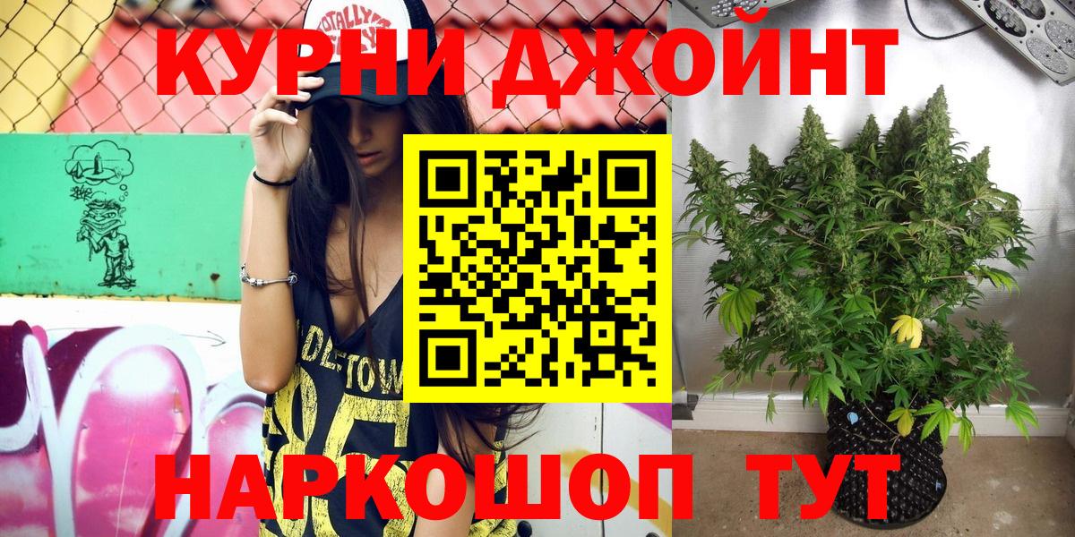 Бошки Шишки тримм  Вход с VPN  Кострома  Бошки марихуана THC 21%  Бошки марихуана тримм 